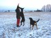 Trina a Agáta (velký švýcarský salašnický pes)